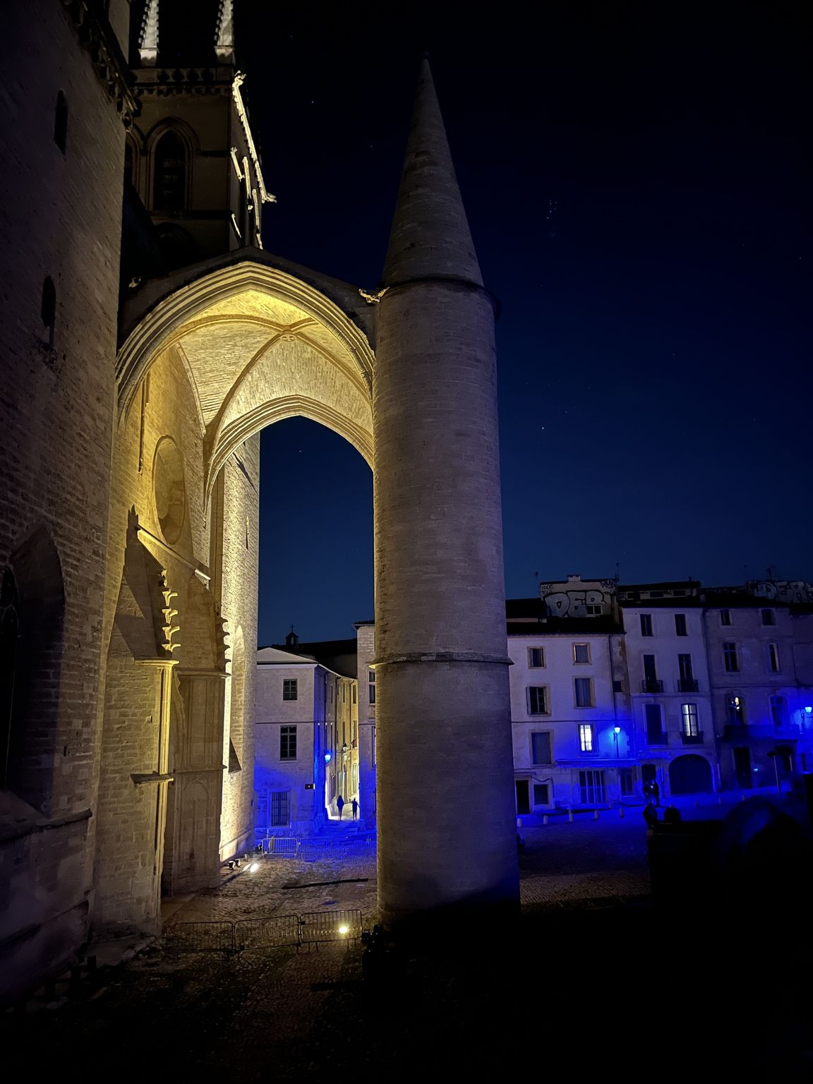 Montpellier Faculty of Medicine archway at night