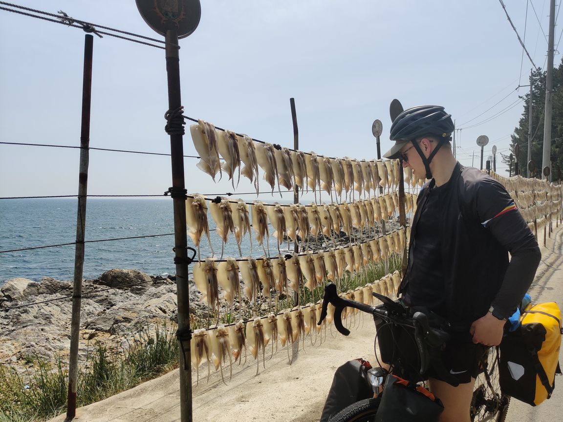 Me cycling next to a rack of drying squid