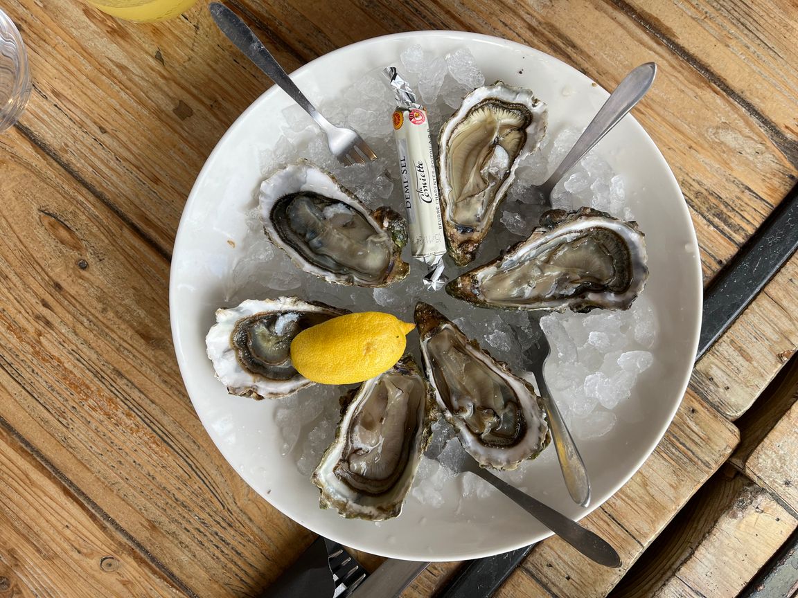 Oysters on a plate